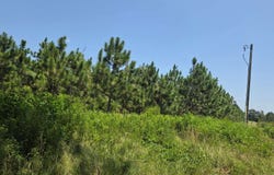 144TH STREET, Live Oak, FL 32060