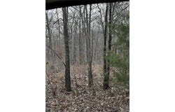 Unincorporated, MO 65565