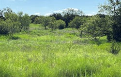 Lampasas, TX 76550