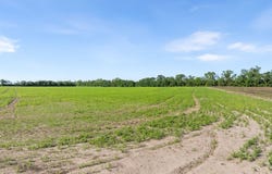 NW 150th St, Trenton, FL 32693