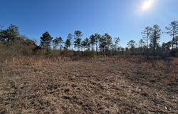 Highway 231, TROY, AL 36079