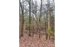 1176 Great Falls Highway, Chester, SC 29706