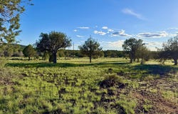 4727 W Cedar Street, Ash Fork, AZ 86320