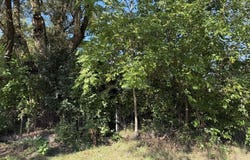 2012 Hovey Place, Gary, IN 46406