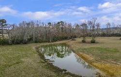1142 CR 428, Tenaha, TX 75974