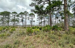 SW 100th Pl lot: 48, Cedar Key, FL 32625