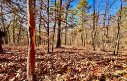 206 Acres D1345 Rd, Red Oak, OK 74563