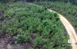 County Road 35, Evergreen, AL 36401
