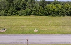 Belle Meade Drive, Murray, KY 42071