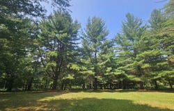 Berkshire Drive lot: 57, Gladwin, MI 48624