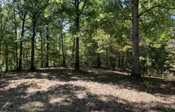 Branch Road, Fulton, MO 65251