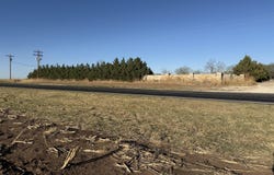 77 FM1731, Muleshoe, TX 79347