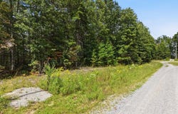 335 Mockingbird Lane, Wilder, TN 38589