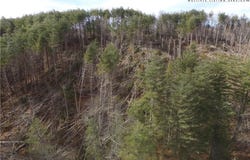 Deer Path Road, Crumpler, NC 28617
