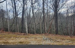 145 Ivywood Lane, Laurel Park, NC 28739