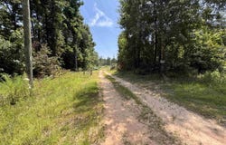 551 Pleasure Point Rd, Lone Star, TX 75668