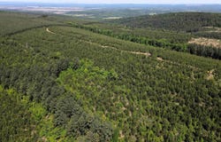 Baylor House Road, Bigelow, AR 72016