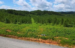 Three Point Rd lot: 54, Vonore, TN 37885