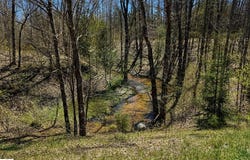 4411 N 11 Road, Mesick, MI 49688