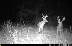12772 SW Marshall Rd, Colony, KS 66015