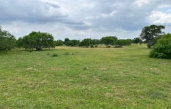 Settlement Way lot: 17, Luling, TX 78648
