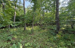 Pawnee Circle, Breezy Point, MN 56472