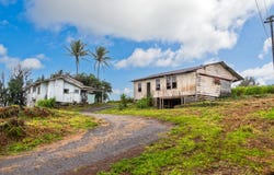 44-2906 KALOPA RD, Honokaa, HI 96727