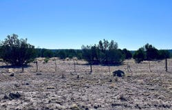 145 NE Reckless Lane, Ash Fork, AZ 86320