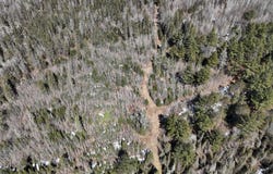 80 Acres CTH CC, Tomahawk, WI 54487