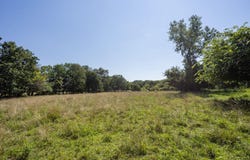 525 E Hwy C, Jerico Springs, MO 64756