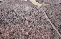 Klondike Rd. lot: 1, Confluence, PA 15424
