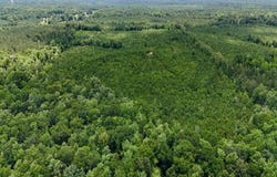 Alabama Hwy. 10, Greenville, AL 36037