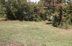 Wild Turkey Road, West Plains, MO 65775