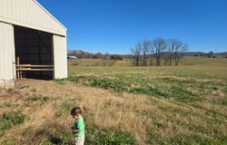 Dogwalk Rd, Alpine, TN 38543