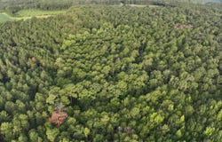 Coogle Road, Oglethorpe, GA 31068