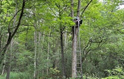 Flat Iron Road, Hunt, NY 14846