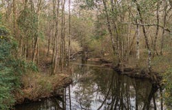 001 Old Stage Road, Atmore, AL 36502