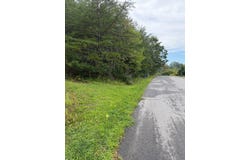 Teresa Lane, Cloverdale, VA 24019