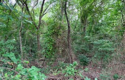 Garner Drive, Mabank, TX 75156