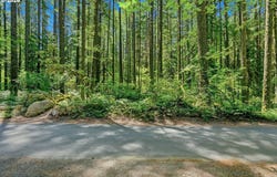 E John Lake Rd, Rhododendron, OR 97049