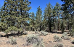69265 Panoramic Drive, Sisters, OR 97759