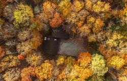 48 Chickadee Drive, Davis, WV 26260