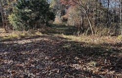 Shaddon Road Lot 2, Tellico Plains, TN 37385