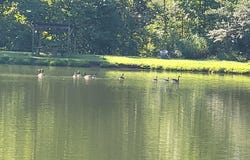 213 KY-1232 Highway, Gray, KY 40734