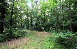 164 Reservior Road, Springfield, AR 72157