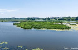 River Hills Drive, Holland, MI 49424