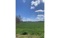 FREDONIA Rd lot: 3, Mason, TN 38049