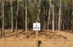201 Peninsula Drive, Prosperity, SC 29070