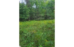M-55, Whittemore, MI 48770