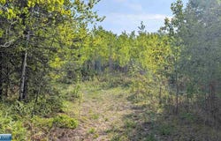 7573 Thumbnail Drive, Embarrass, MN 55732